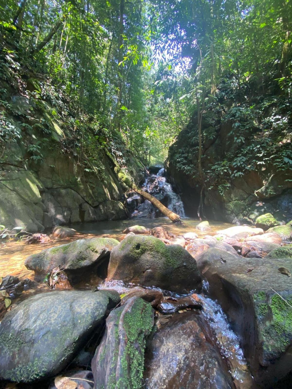 Eco Trekking Lodge, Bar & Jungle Tour'S Bukit Lawang Exterior foto