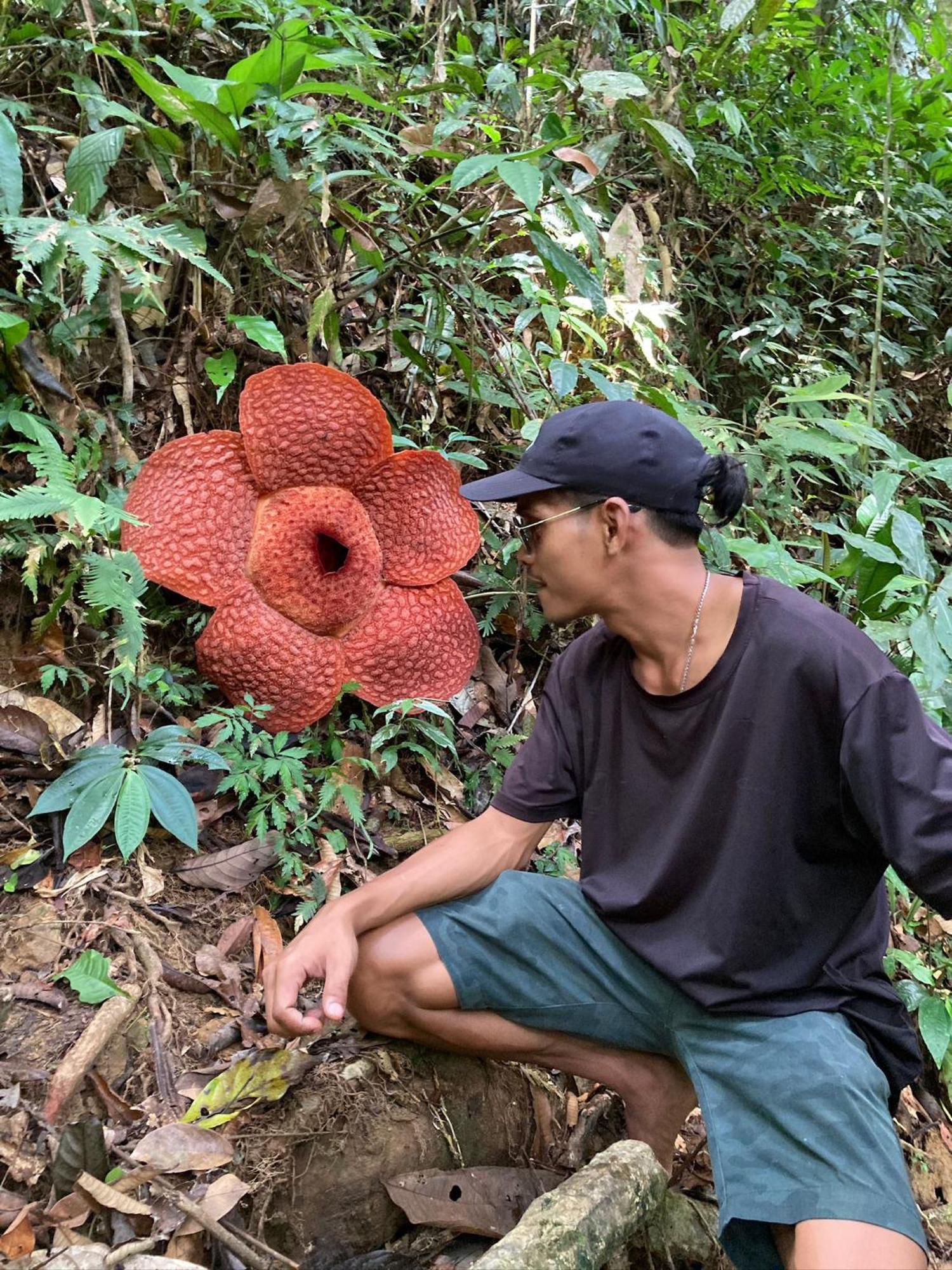 Eco Trekking Lodge, Bar & Jungle Tour'S Bukit Lawang Exterior foto