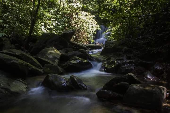 Eco Trekking Lodge, Bar & Jungle Tour'S Bukit Lawang Exterior foto